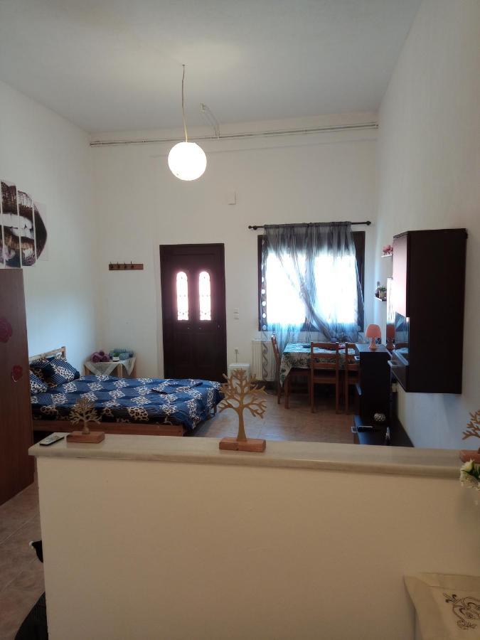 Tzoumerka Panorama Pramanta Luaran gambar
